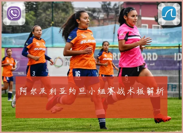 阿尔及利亚约旦小组赛战术板解析