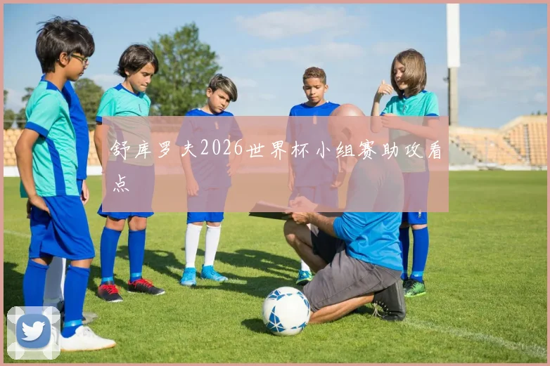 舒库罗夫2026世界杯小组赛助攻看点