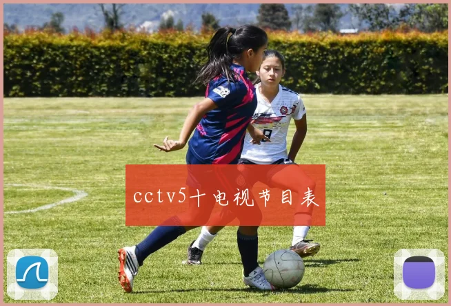 cctv5十电视节目表