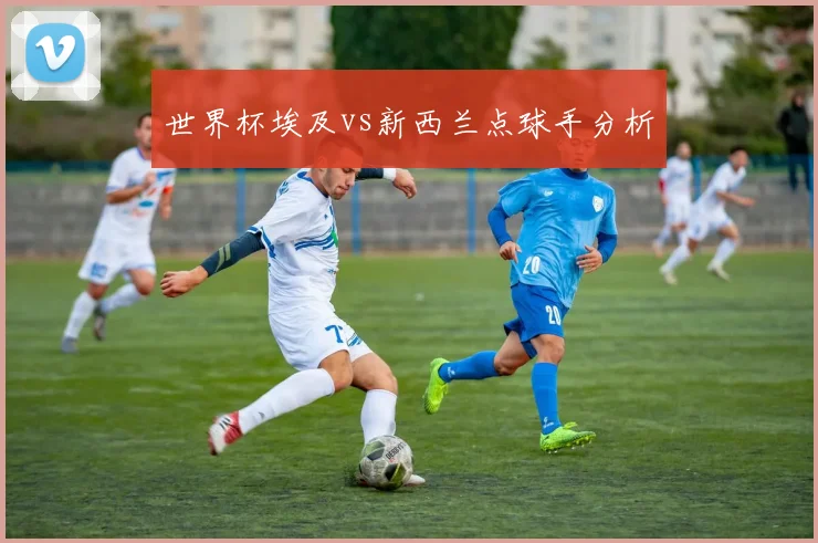 世界杯埃及vs新西兰点球手分析