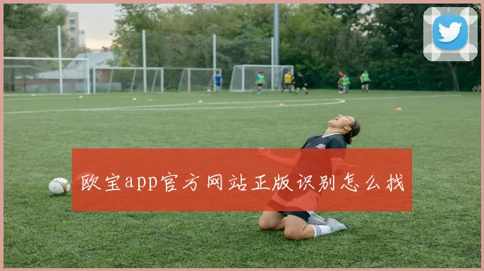欧宝app官方网站正版识别怎么找
